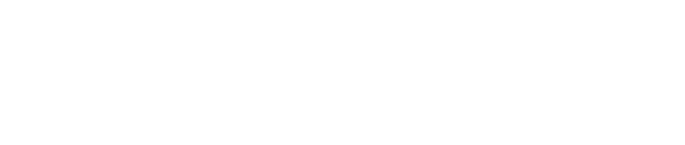 Brandmauer IT Logo